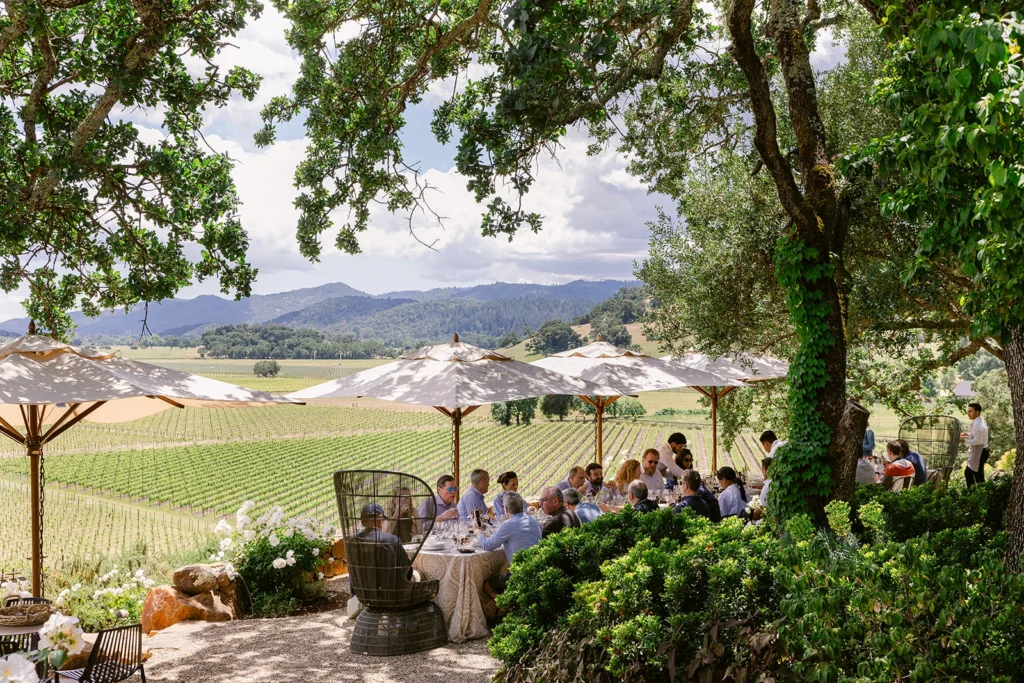 Best Time to Visit Napa Valley in 2026: Seasons Planning Guide